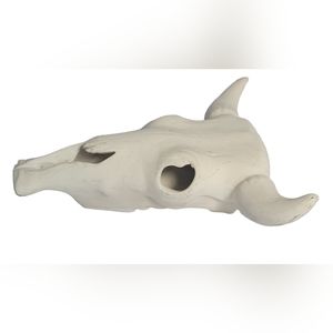 Ceramic cow skull